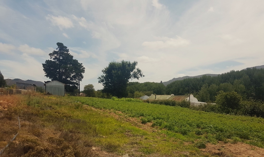 Commercial Property for Sale in Haarlem Western Cape